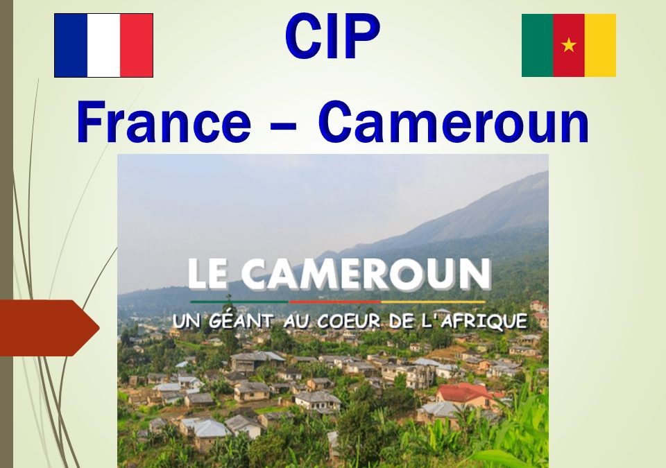 France – Cameroun