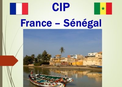 France – Sénégal